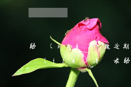 助學(xué)貸款逾期已經(jīng)結(jié)清(國家助學(xué)貸款到期后逾期未還必須盡快還清貸款)