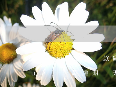 助學(xué)貸款逾期影響大嗎(助學(xué)貸款逾期幾天會(huì)影響征信嗎)