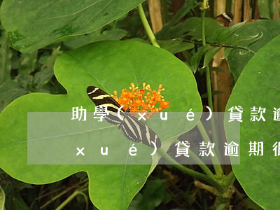 助學(xué)貸款逾期很多年未還(助學(xué)貸款逾期很多年未還)
