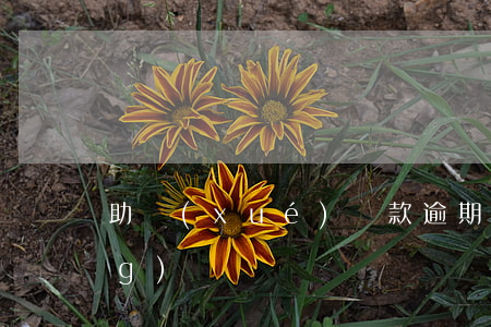 助學(xué)貸款逾期怎么申請(qǐng)