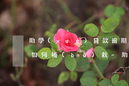 助學(xué)貸款逾期怎么補(bǔ)救如何補(bǔ)救-助學(xué)貸款逾期了怎么補(bǔ)救