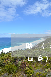助學(xué)貸款逾期怎么購房(助學(xué)貸款逾期貸款)