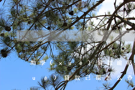 助學(xué)貸款逾期怎樣查到(助學(xué)貸款已還怎么查詢)