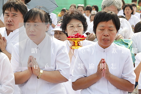 助學(xué)貸款逾期怎樣還款(助學(xué)貸款逾期怎樣還款最合適)