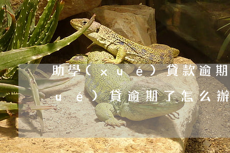 助學(xué)貸款逾期房貸利率(助學(xué)貸逾期了怎么辦)
