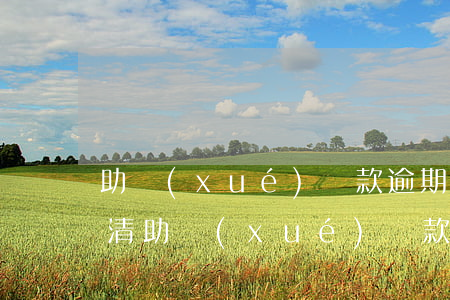 助學(xué)貸款逾期提前結(jié)清(助學(xué)貸款逾期后一次性還清)