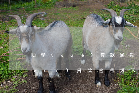 助學(xué)貸款逾期會有通知嗎(助學(xué)貸款逾期幾天有影響嗎)