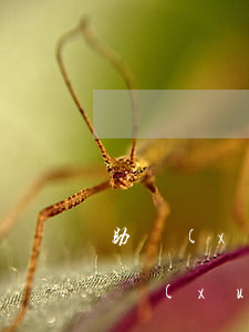 助學(xué)貸款逾期有是么影響(國家助學(xué)貸款逾期了對信用影響)