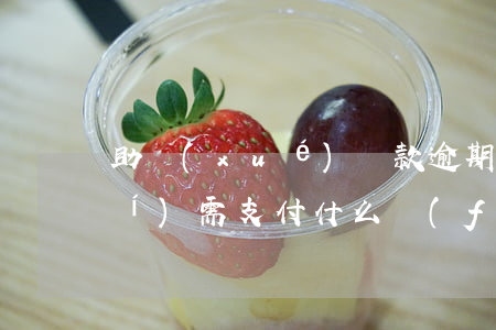 助學(xué)貸款逾期未還,還款時(shí)需支付什么費(fèi)用-助學(xué)貸款逾期未還,還款時(shí)需支付什么費(fèi)用
