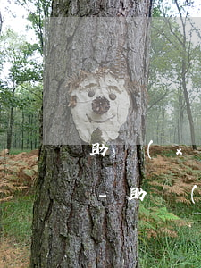 助學(xué)貸款逾期為什么沒接到通知-助學(xué)貸款逾期為什么沒接到通知呢
