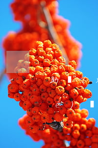 助學(xué)貸款逾期簡介辦(助學(xué)貸款逾期是什么意思)