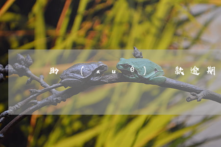 助學(xué)貸款逾期能買(mǎi)房嗎