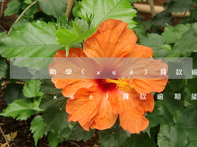 助學(xué)貸款逾期能辦信用卡(助學(xué)貸款逾期能辦信用卡)