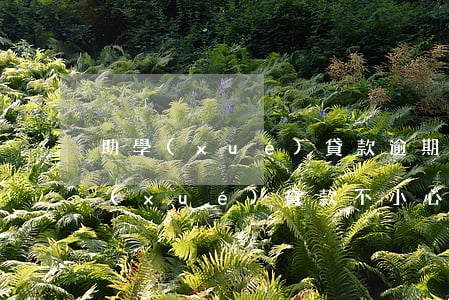 助學(xué)貸款逾期與公積金貸款(助學(xué)貸款不小心逾期)