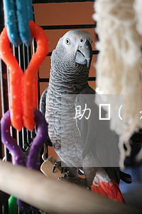 助學(xué)貸款逾期要怎么還款