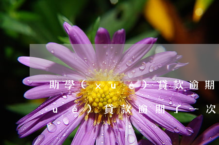 助學(xué)貸款逾期視頻感悟(助學(xué)貸款逾期了一次)