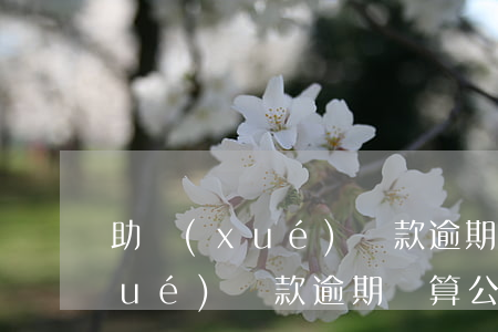 助學(xué)貸款逾期計算公式(助學(xué)貸款逾期計算公式)