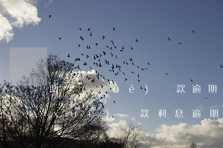 助學(xué)貸款逾期記入征信嗎(助學(xué)貸款利息逾期多久上征信)