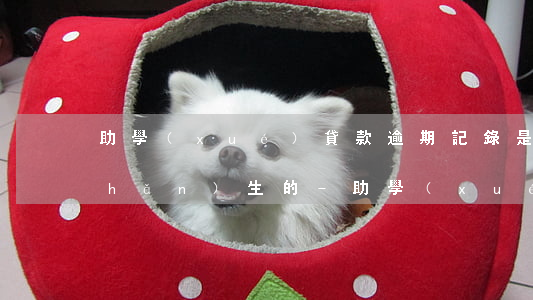 助學(xué)貸款逾期記錄是怎么產(chǎn)生的-助學(xué)貸款逾期記錄是怎么產(chǎn)生的呢