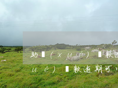 助學(xué)貸款逾期貸款不了(助學(xué)貸款逾期可以消除嗎)