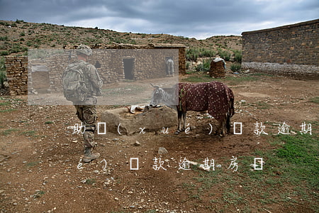 助學(xué)貸款逾期貼吧-助學(xué)貸款逾期房貸
