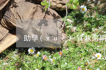 助學(xué)貸款逾期還款事例