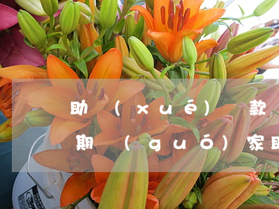 助學(xué)貸款還清沒(méi)有逾期(國(guó)家助學(xué)貸款到期后逾期未還必須盡快還清貸款)