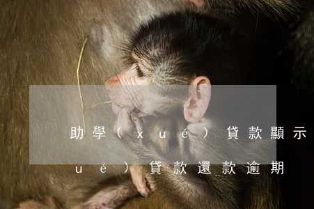 助學(xué)貸款顯示合同逾期(助學(xué)貸款還款逾期)