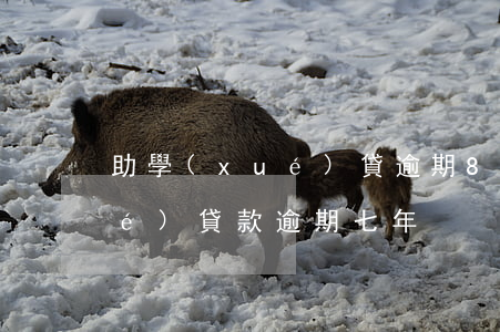 助學(xué)貸逾期8年沒還(助學(xué)貸款逾期七年)