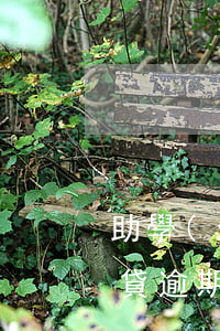 助學(xué)貸逾期短信（助學(xué)貸逾期短信）