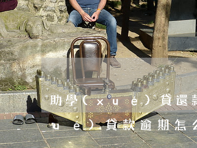 助學(xué)貸還款逾期怎么辦(助學(xué)貸款逾期怎么申請還款)