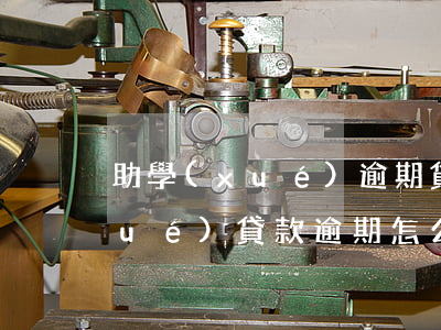 助學(xué)逾期貸款如何還款(助學(xué)貸款逾期怎么申請(qǐng)還款)