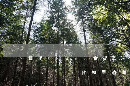 助學(xué)金貸款逾期18年(國家助學(xué)貸如果逾期)