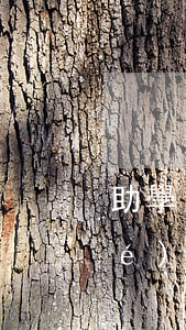 助學(xué)金貸款逾期一天(助學(xué)貸款逾期一個(gè)月的罰款)