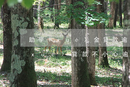 助學(xué)金貸款逾期怎樣還款(助學(xué)貸款不小心逾期了)