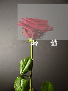 助學借貸逾期一次-助學貸款還款逾期一天