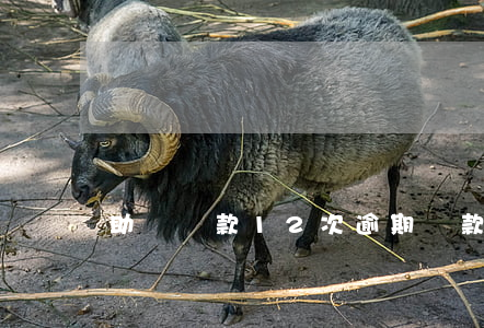 助學貸款12次逾期貸款