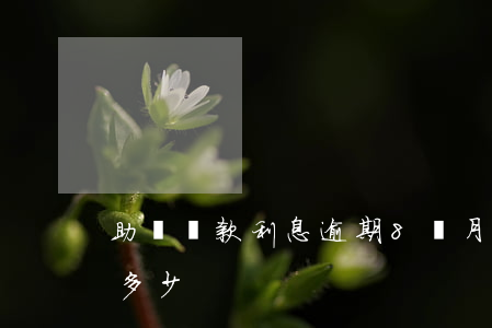 助學貸款利息逾期8個月(助學貸款逾期罰息多少)