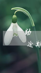 助學貸款利息逾期了1個月怎么辦(助學貸款逾期1天怎么補救)