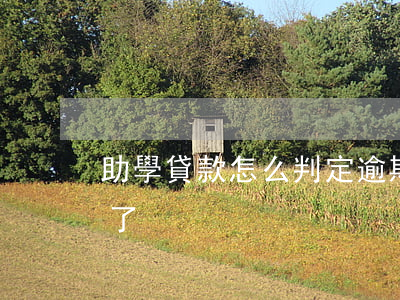 助學貸款怎么判定逾期(助學貸款不小心逾期了)