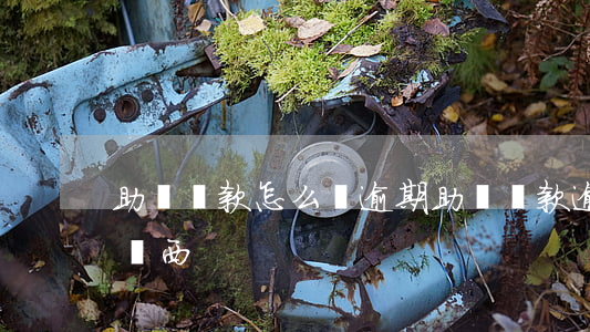 助學貸款怎么會逾期（助學貸款逾期影響哪些東西）