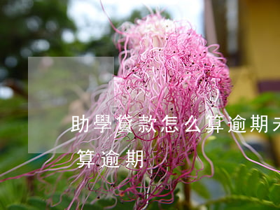 助學貸款怎么算逾期未還(助學貸款多久不還算逾期)