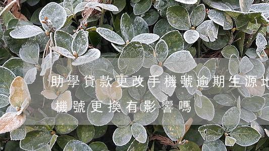 助學貸款更改手機號逾期(生源地助學貸款手機號更換有影響嗎?)