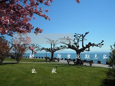 助學貸款有逾期怎么還(助學貸款利息逾期怎么補救)
