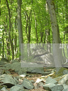 助學貸款的征信逾期記錄(助學貸款逾期幾天會上個人征信)