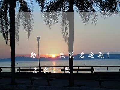 助學貸款莫名逾期1塊錢(助學貸款逾期一天怎么還款)