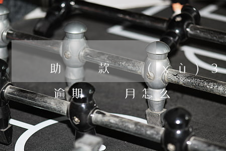 助學貸款連續(xù)3個月逾期(助學貸款逾期兩個月怎么辦)