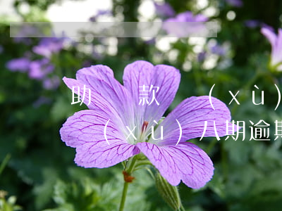 助學貸款連續(xù)八期逾期(助學貸款連續(xù)八期逾期)