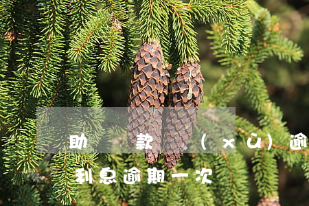 助學貸款連續(xù)逾期五個月(助學貸款利息逾期一次)