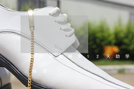 助學貸款逾期12天(助學貸款逾期1天怎么補救)
